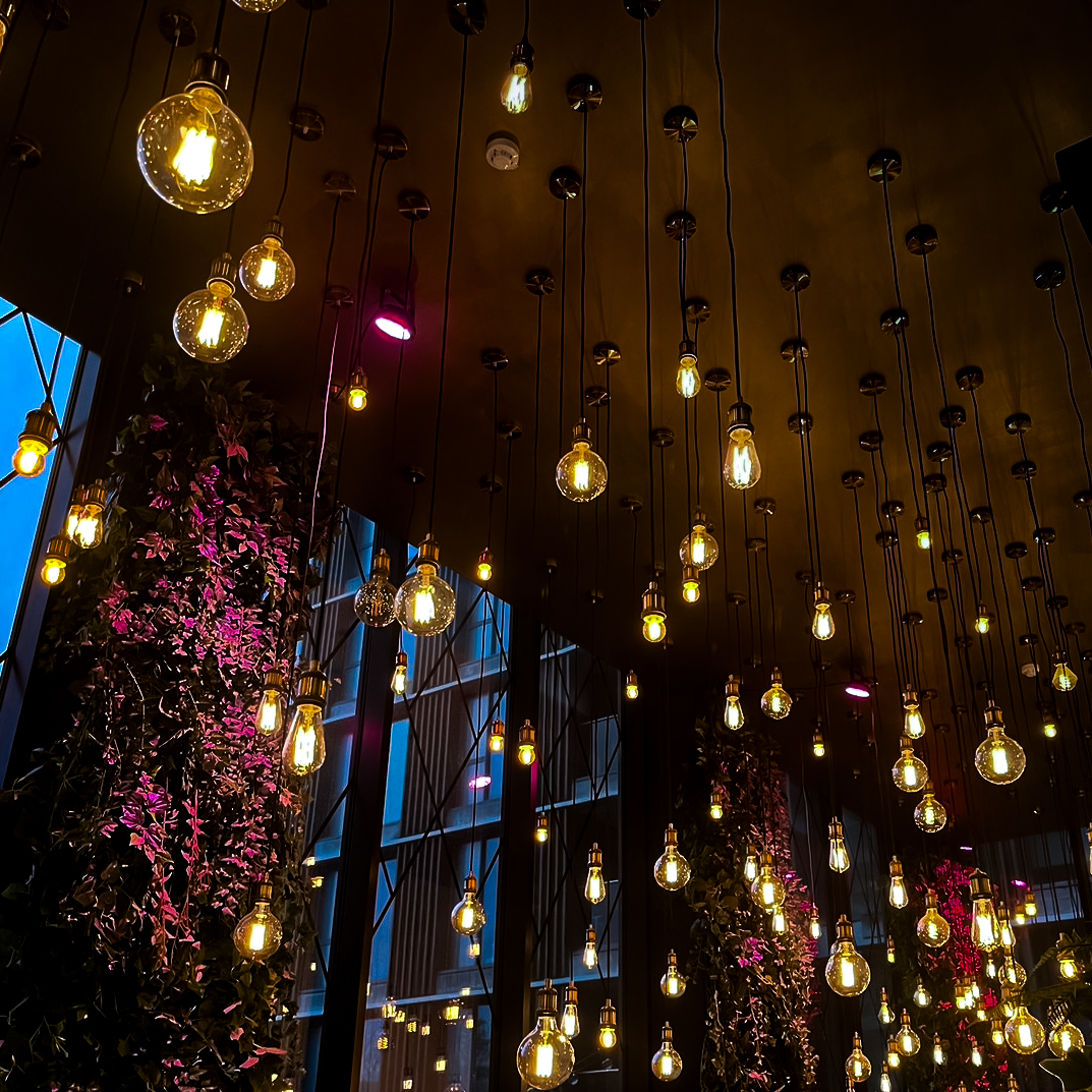 PHOTO-2024-11-07-20-04-39-2