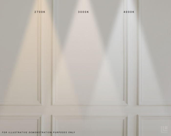 Profile.40 - Image 7